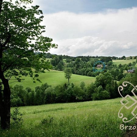 Chata Brzozowiec Villa Czaszyn Buitenkant foto