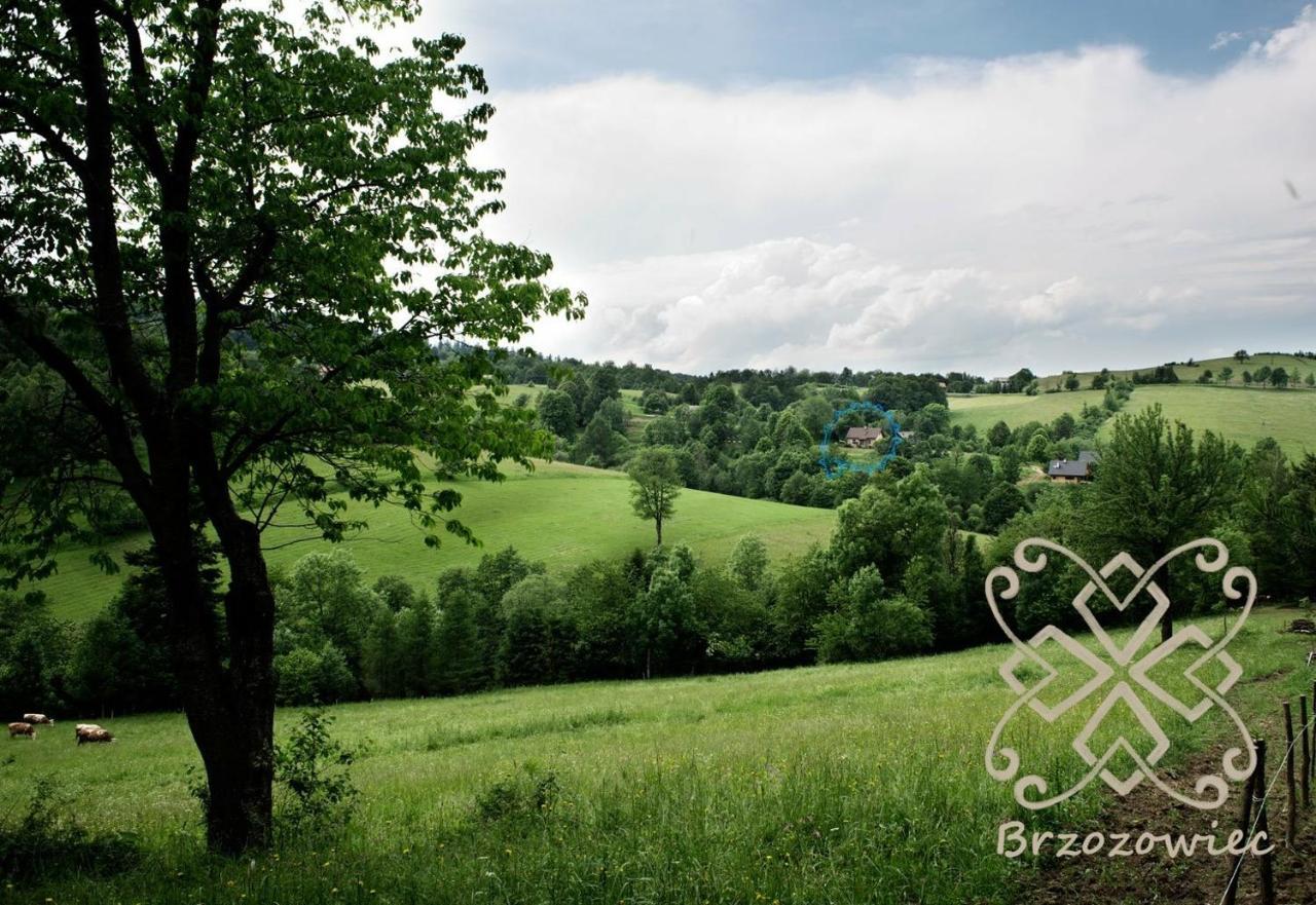 Chata Brzozowiec Villa Czaszyn Buitenkant foto